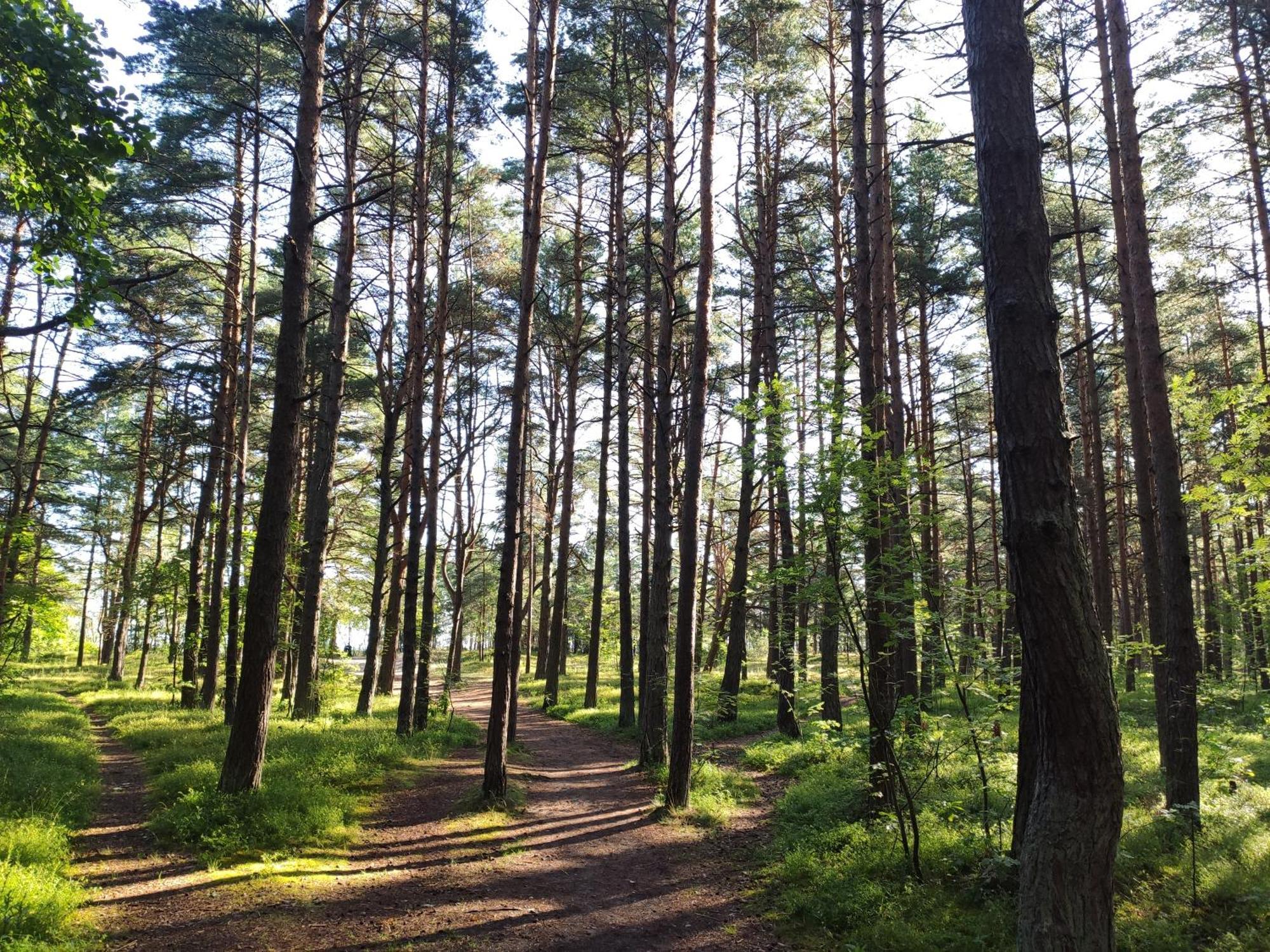 Flip-Flops Apartment Jurmala With Free Parking Eksteriør billede