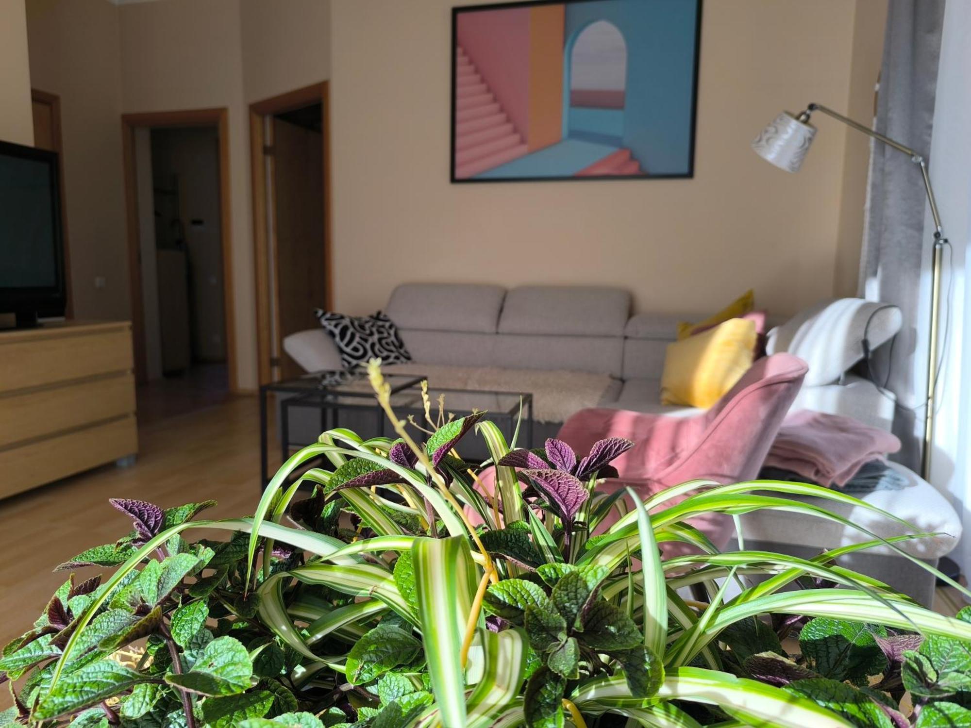 Flip-Flops Apartment Jurmala With Free Parking Eksteriør billede