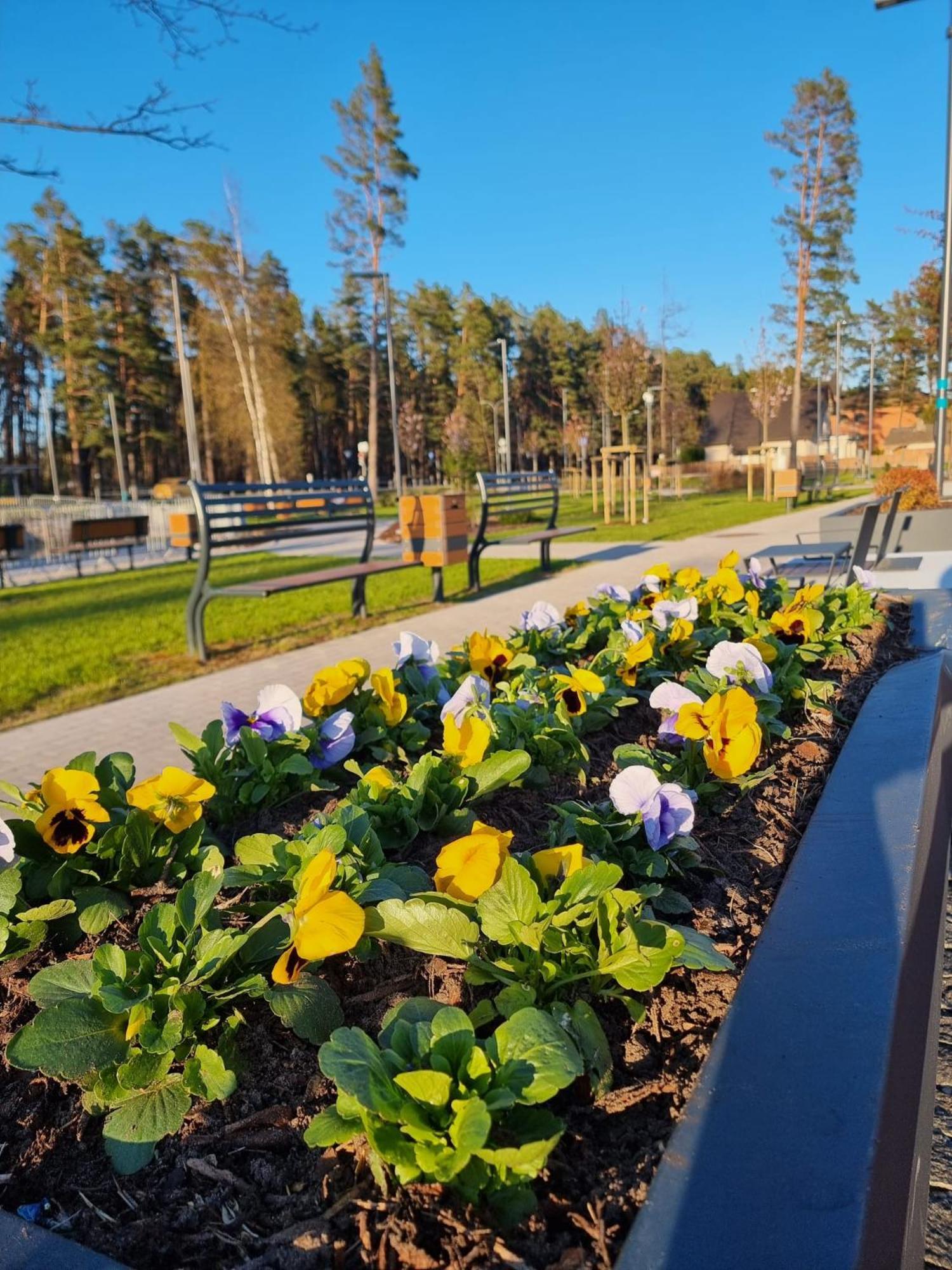 Flip-Flops Apartment Jurmala With Free Parking Eksteriør billede